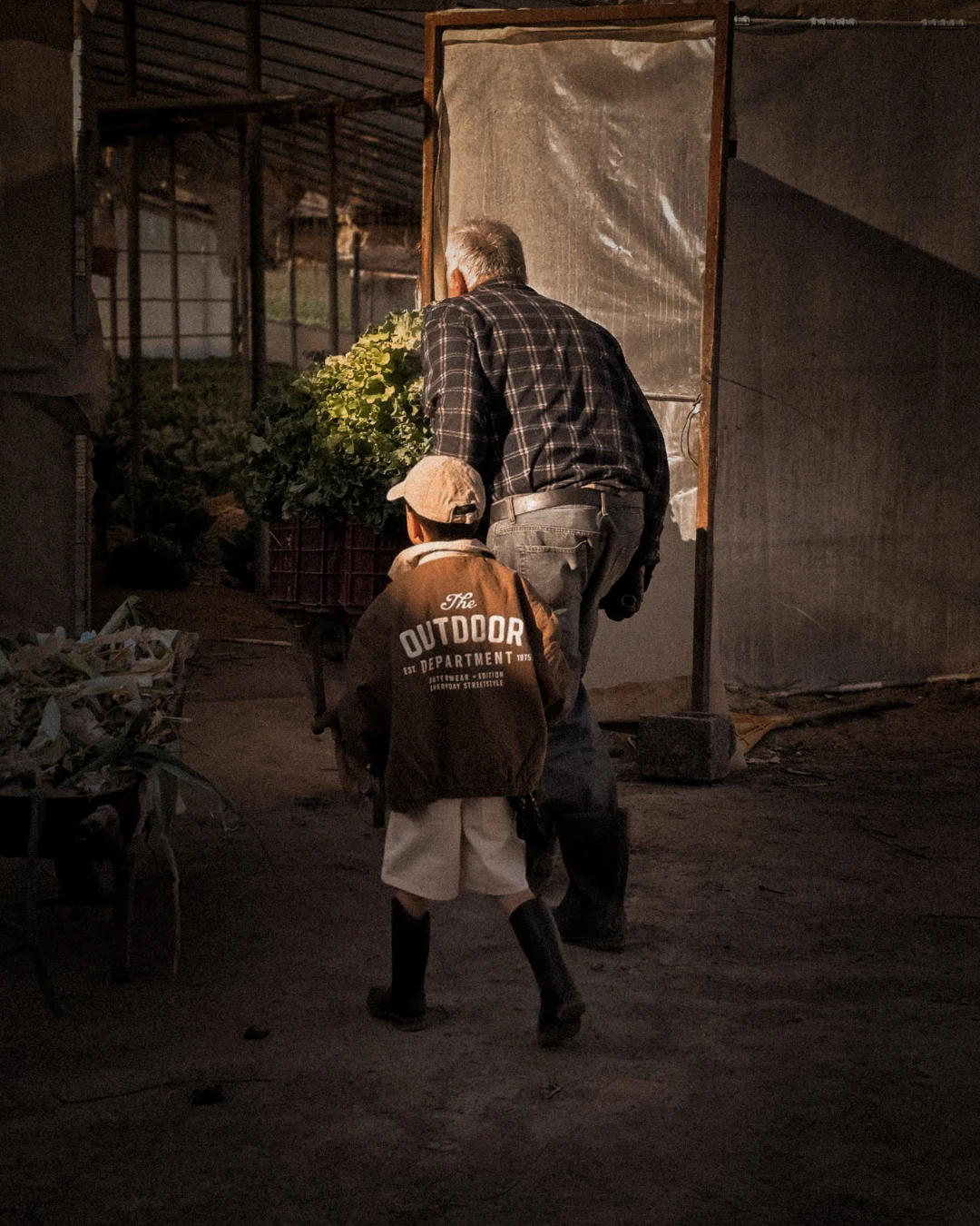 Grandfather and a young boy walk together toward a light-filled doorway inside a dim greenhouse. The man carries green leaves in a crate. The boy follows closely behind.