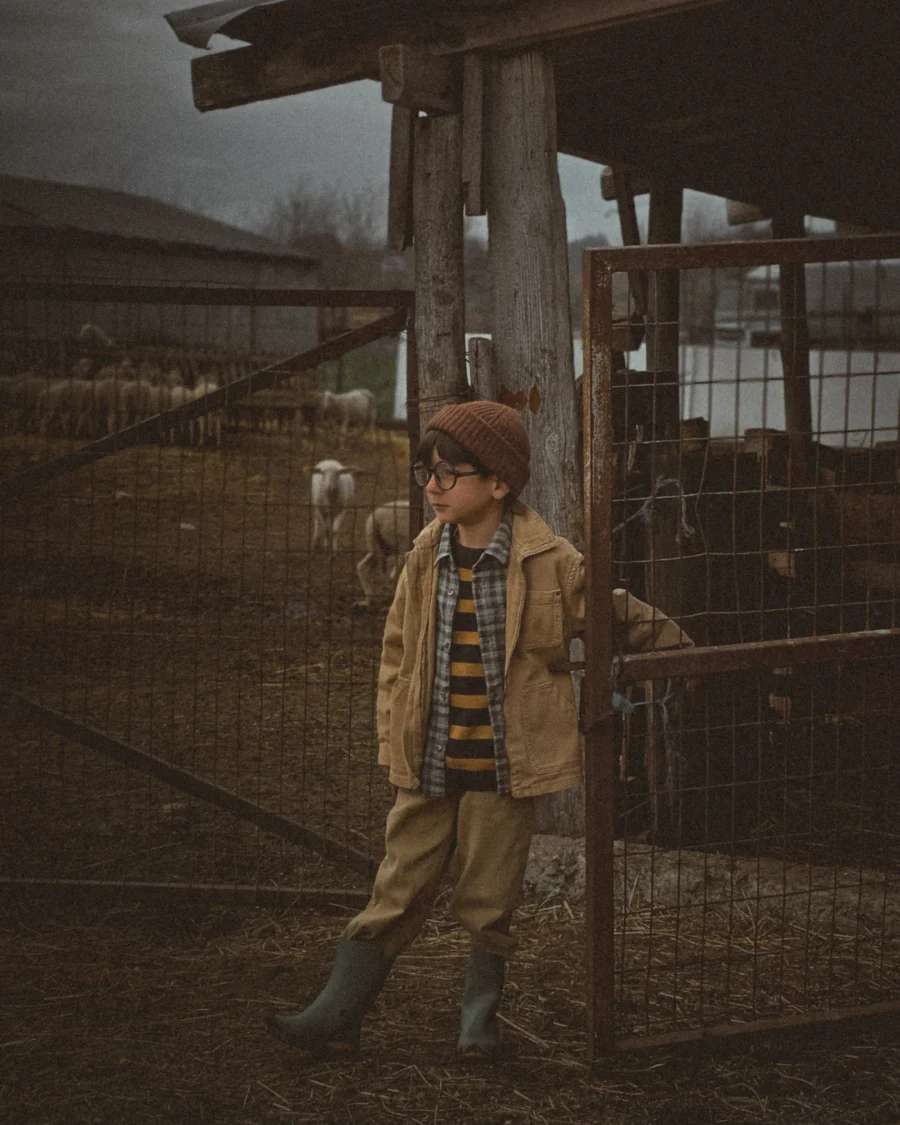 A child standing at the entrance of a farm enclosure, wearing boots and outdoor clothes, with sheep waiting inside under an overcast sky.
