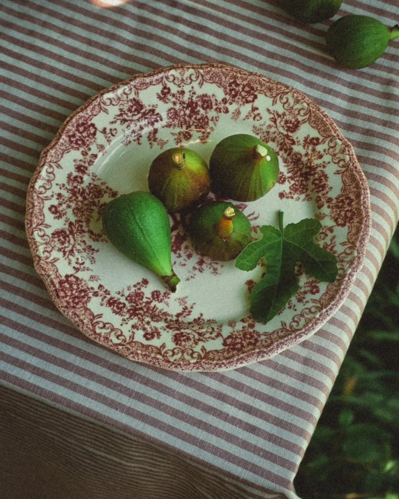 Fig Rustic Tablecloth