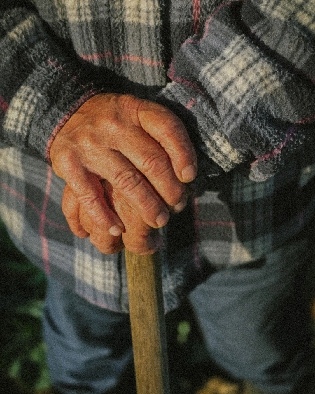 From Earth to table (10) Detailed close-up of an older farmer’s hands resting on a wooden farming tool, textured skin and plaid sleeve visible in natural light.