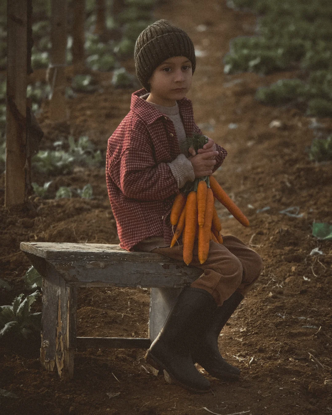 A young child sits on a wooden bench in the greenhouse, holding a fresh bundle of bright orange carrots. Wearing a knit beanie, a checked red shirt, and muddy boots, the child looks down softly, surrounded by rows of winter crops and warm late-afternoon light.