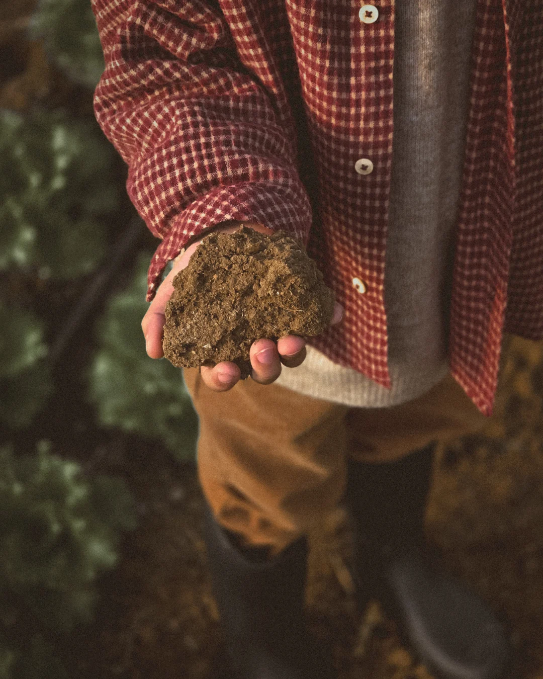 Close-up of a child’s hand holding moist soil, with green plants and textured earth in the background.