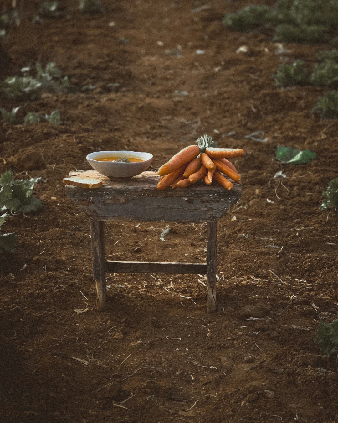 A small wooden table placed in a garden field, holding a bowl of warm carrot soup, a slice of bread, and a bunch of freshly harvested carrots, photographed in soft natural light.