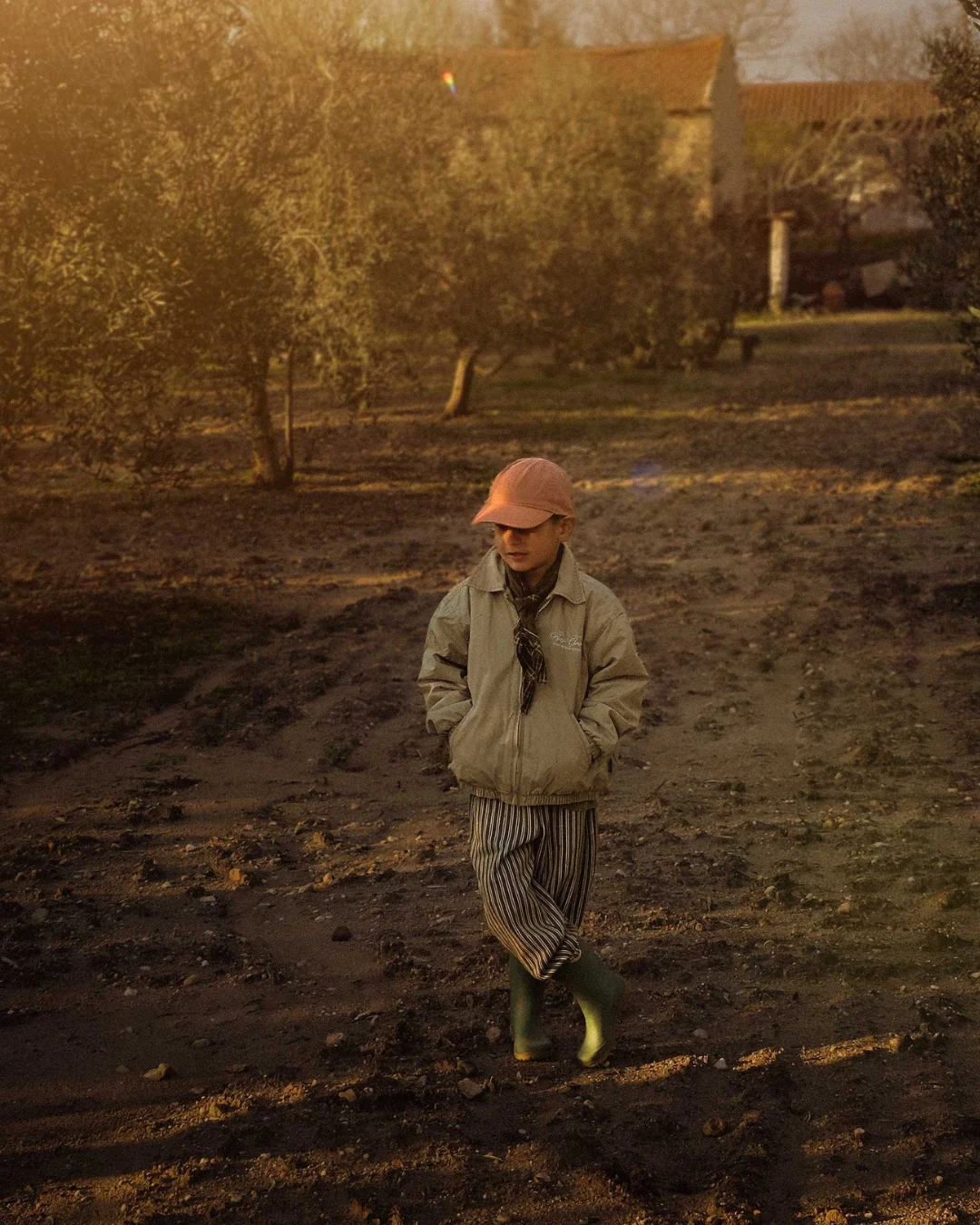 Child walking on a muddy path through an olive grove during golden hour, with a farmhouse in the background in the Greek countryside.