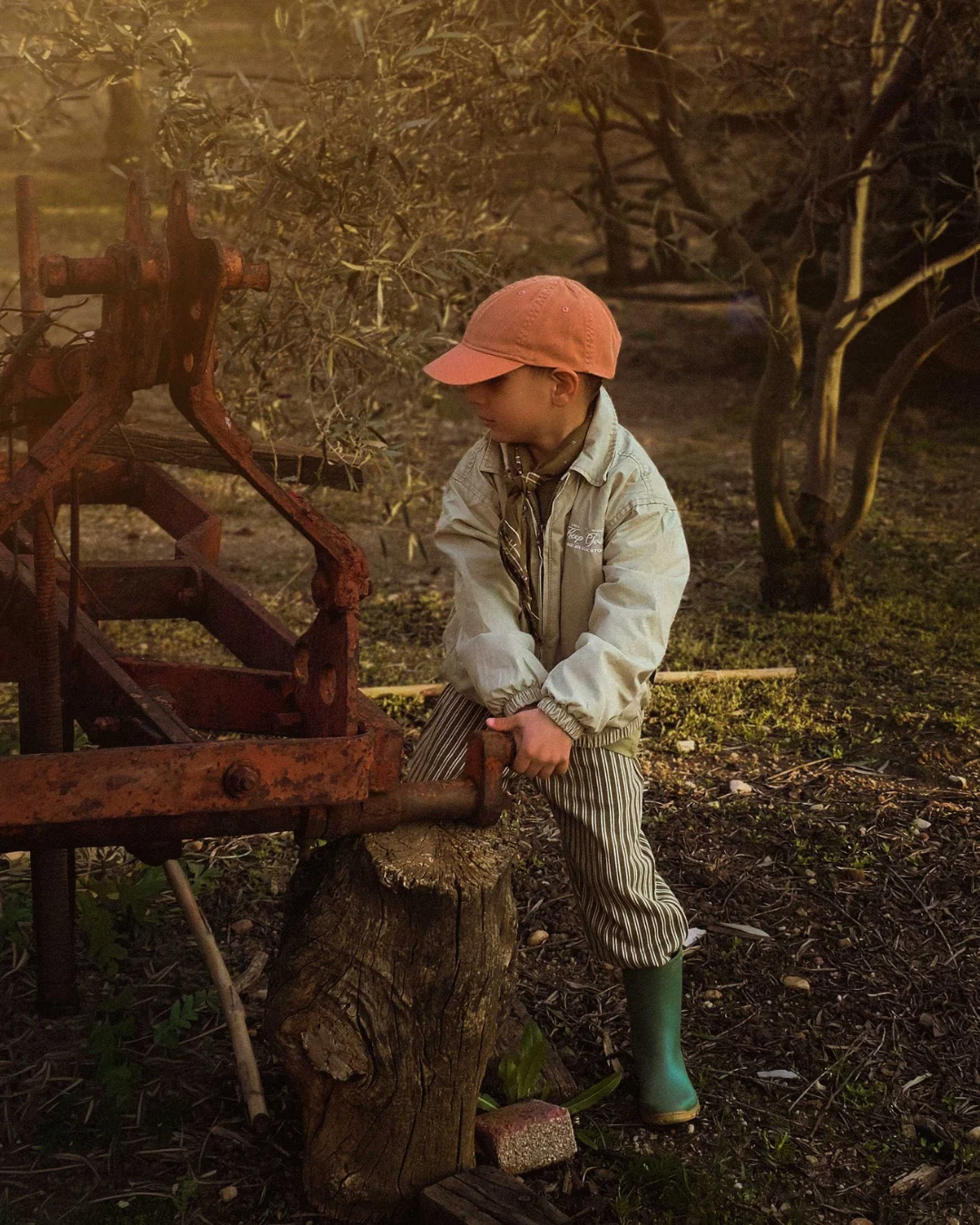 Young child exploring an old farming tool in an olive grove in the countryside.