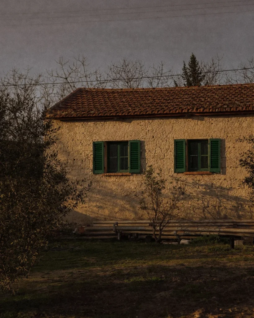 Traditional countryside farmhouse with green wooden shutters beside an olive grove during golden hour.