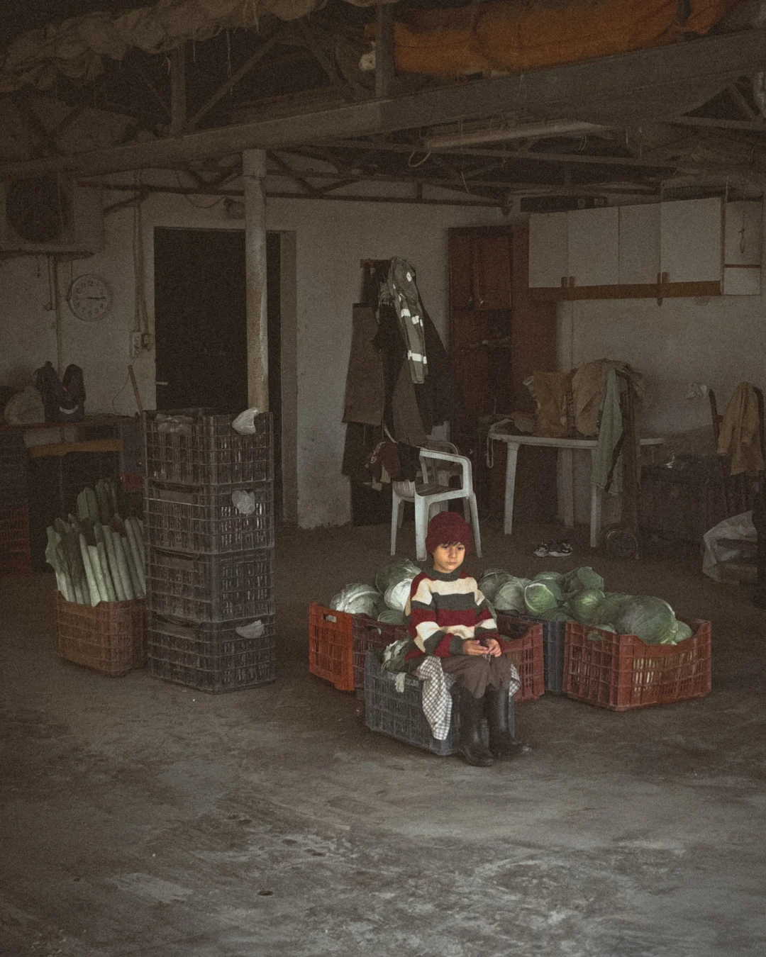 Child sitting on crates full of cabbages inside a rustic farm warehouse, framed in a vintage polaroid style photo.