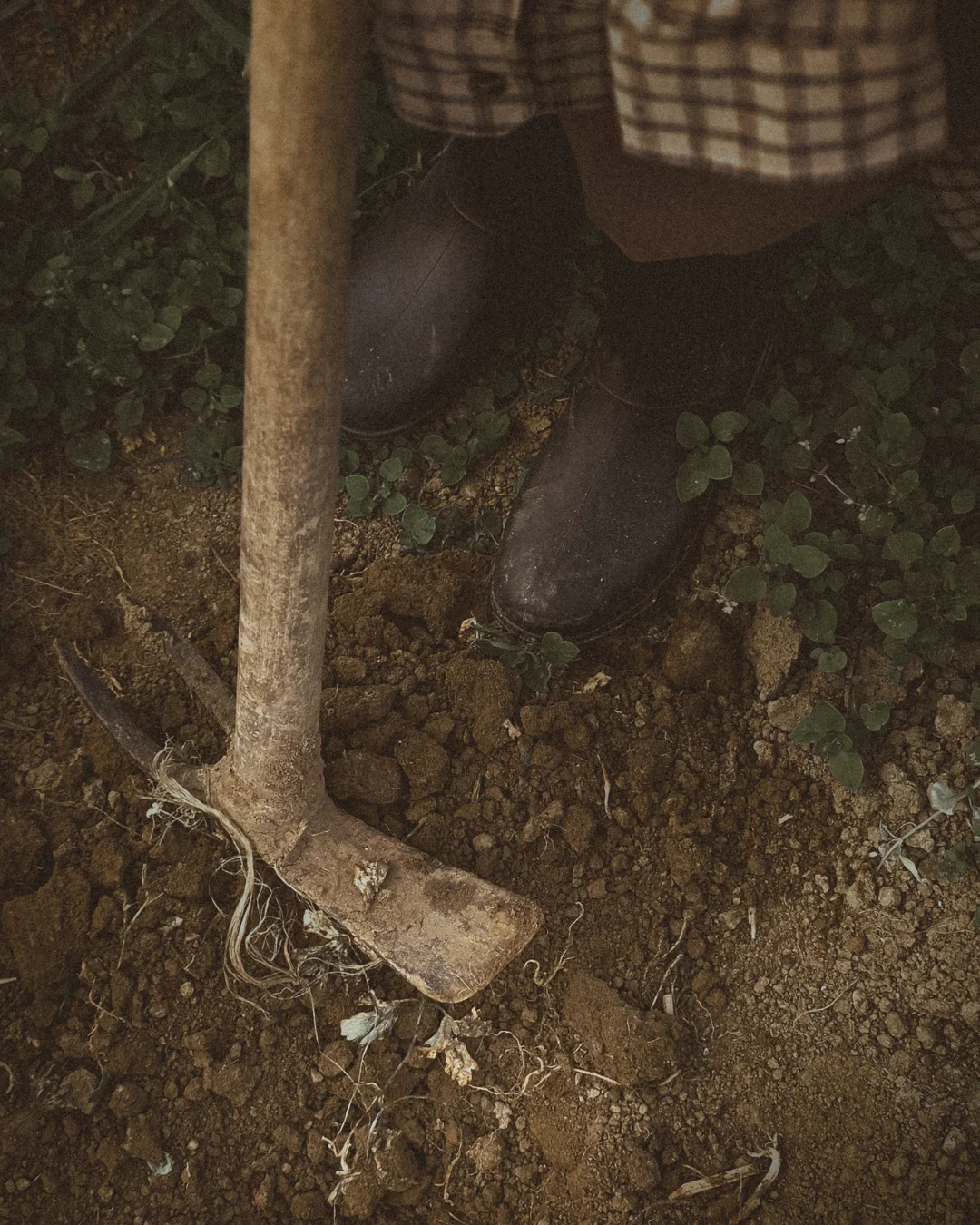 A close-up of a child’s boots next to a worn metal hoe resting in the soil, capturing the textures of earth and simple farm work