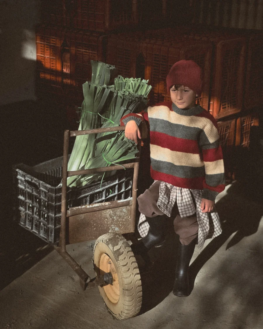 A child wearing a striped sweater and red beanie stands next to a cart filled with freshly harvested leeks in warm, dramatic light.
