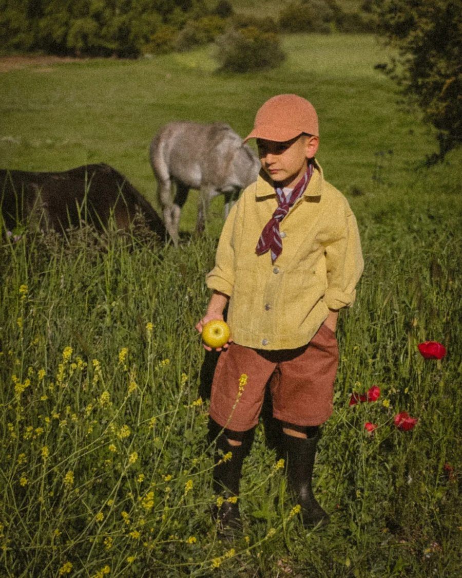 A young boy stands in a sunlit meadow, holding a yellow apple with both hands, eyes cast downward. He wears a yellow linen jacket, rust-colored shorts, tall dark boots and a dusty pink cap with a burgundy scarf at his neck. Behind him, two wild horses graze quietly in the tall green grass. Red poppies bloom at the edges of the frame. The light is warm and golden, the mood unhurried.