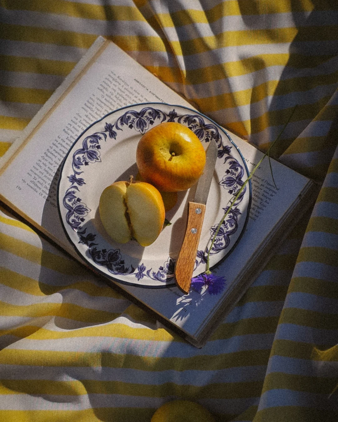Overhead shot of a blue and white ceramic plate resting on an open book. A whole apple and a sliced half sit on the plate beside a wooden-handled knife and a small blue wildflower. The striped yellow and white blanket beneath catches dappled afternoon light. The neck of a guitar is visible at the top right corner.