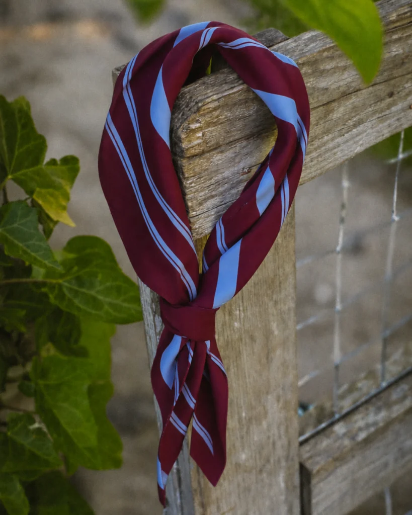 Wild Horses Bandana